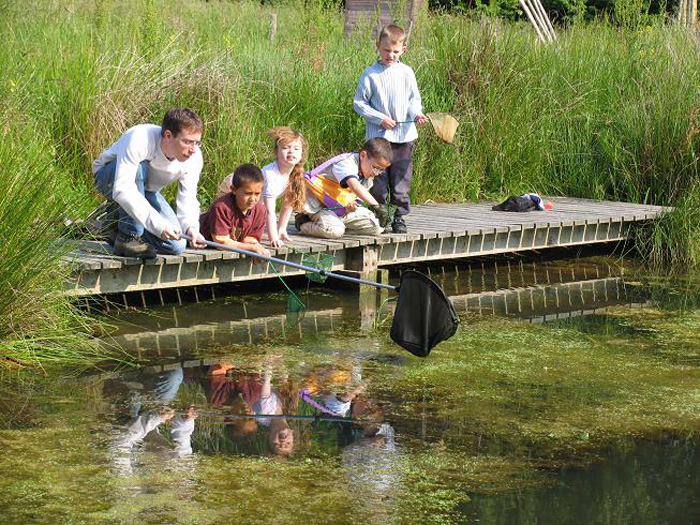 Activité] La peinture sur l'eau  Activities, Education, Animation